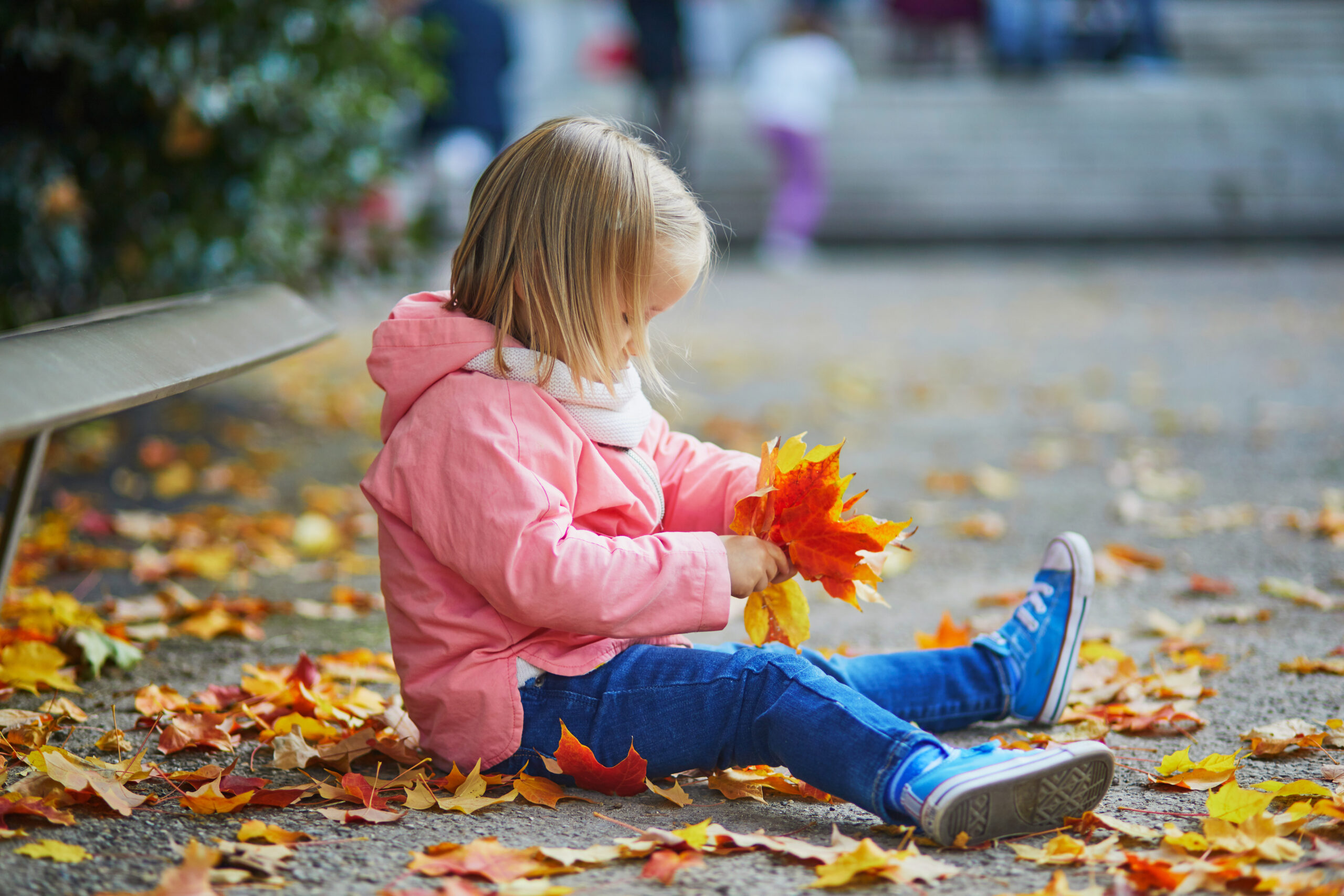 Adorable toddler girl sitting on the ground and gathering fallen leaves in autumn park